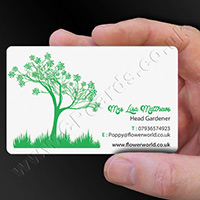 Full Colour Plastic Business Card Example 30