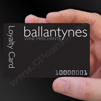 Loyalty Card Example 11