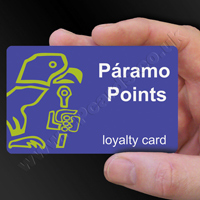 Loyalty Card Example 28