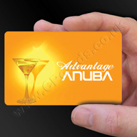 Membership Card Example 08